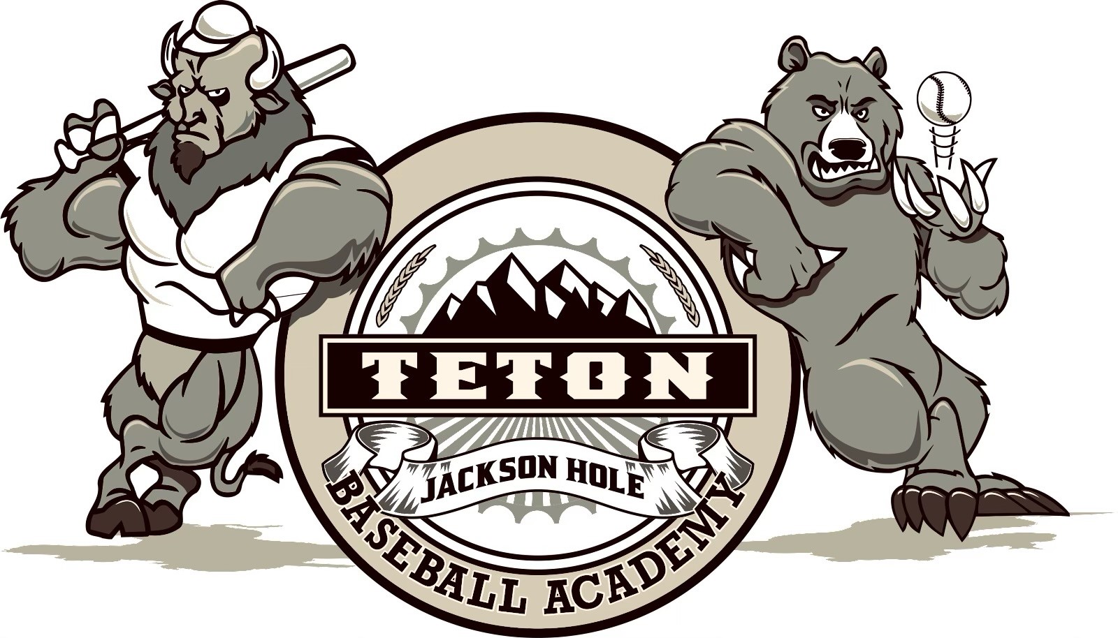 Teton Baseball/Softball Acadamy Jackson Hole Indoor
